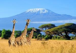 Mount-Kilimanjaro Mount-Kilimanjaro